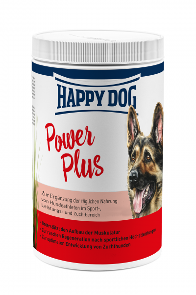 Power Plus