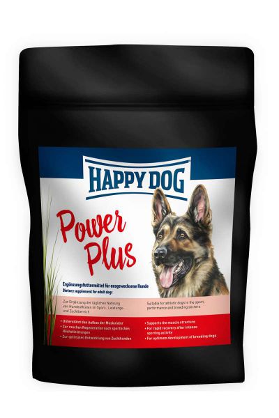 PowerPlus