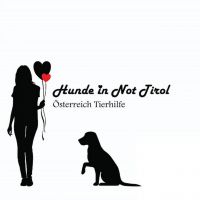 Hunde in Not Tirol - Österreich Tierhilfe Hunde in Not Tirol - Österreich Tierhilfe
